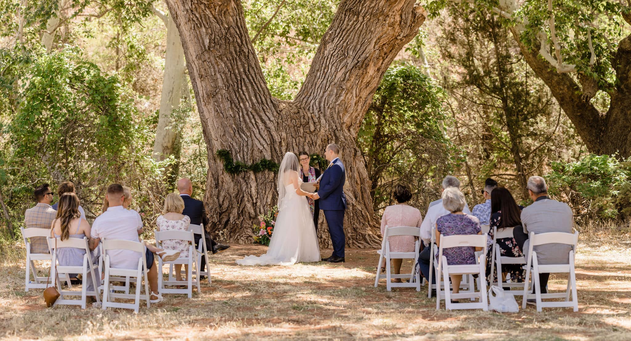 couple marries under tree based on the answer to how much does it cost to elope